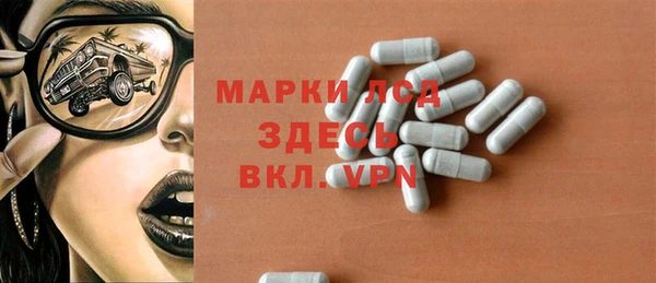 шишки Гусиноозёрск