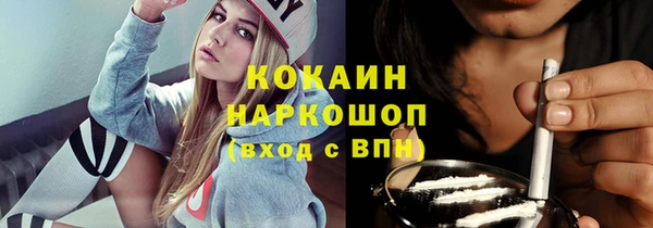 шишки Гусиноозёрск