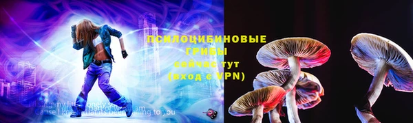 шишки Гусиноозёрск