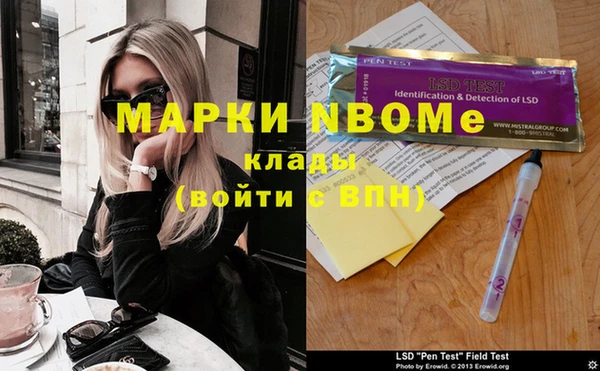 шишки Гусиноозёрск