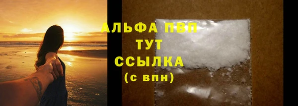 шишки Гусиноозёрск