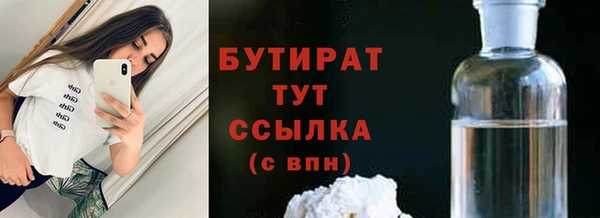 шишки Гусиноозёрск