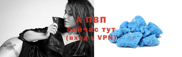 шишки Гусиноозёрск
