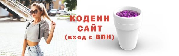 шишки Гусиноозёрск