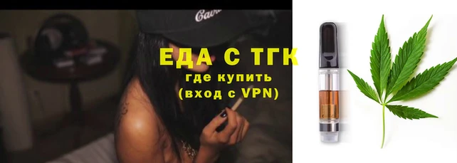 шишки Гусиноозёрск