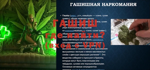 шишки Гусиноозёрск