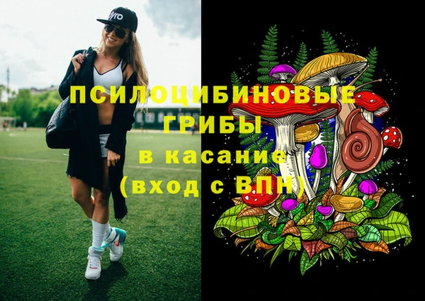 шишки Гусиноозёрск