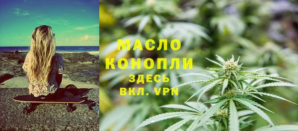 шишки Гусиноозёрск