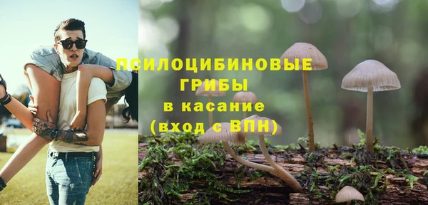 марки lsd Гусев