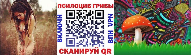 Купить  Ухта  Псилоцибиновые грибы мухоморы 